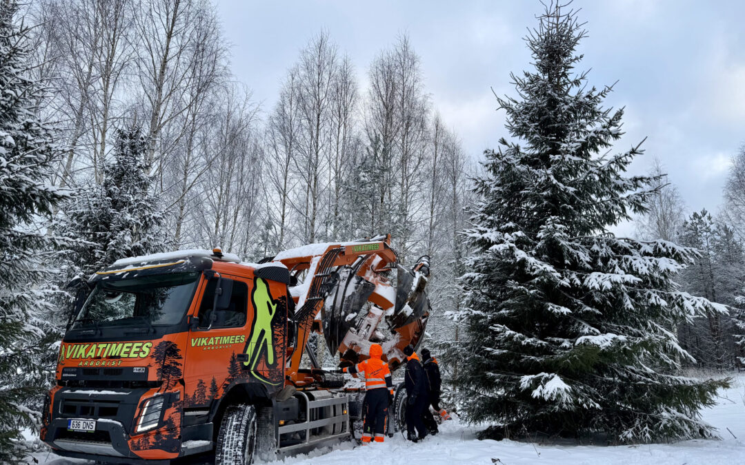 Ohtlike puude langetamine