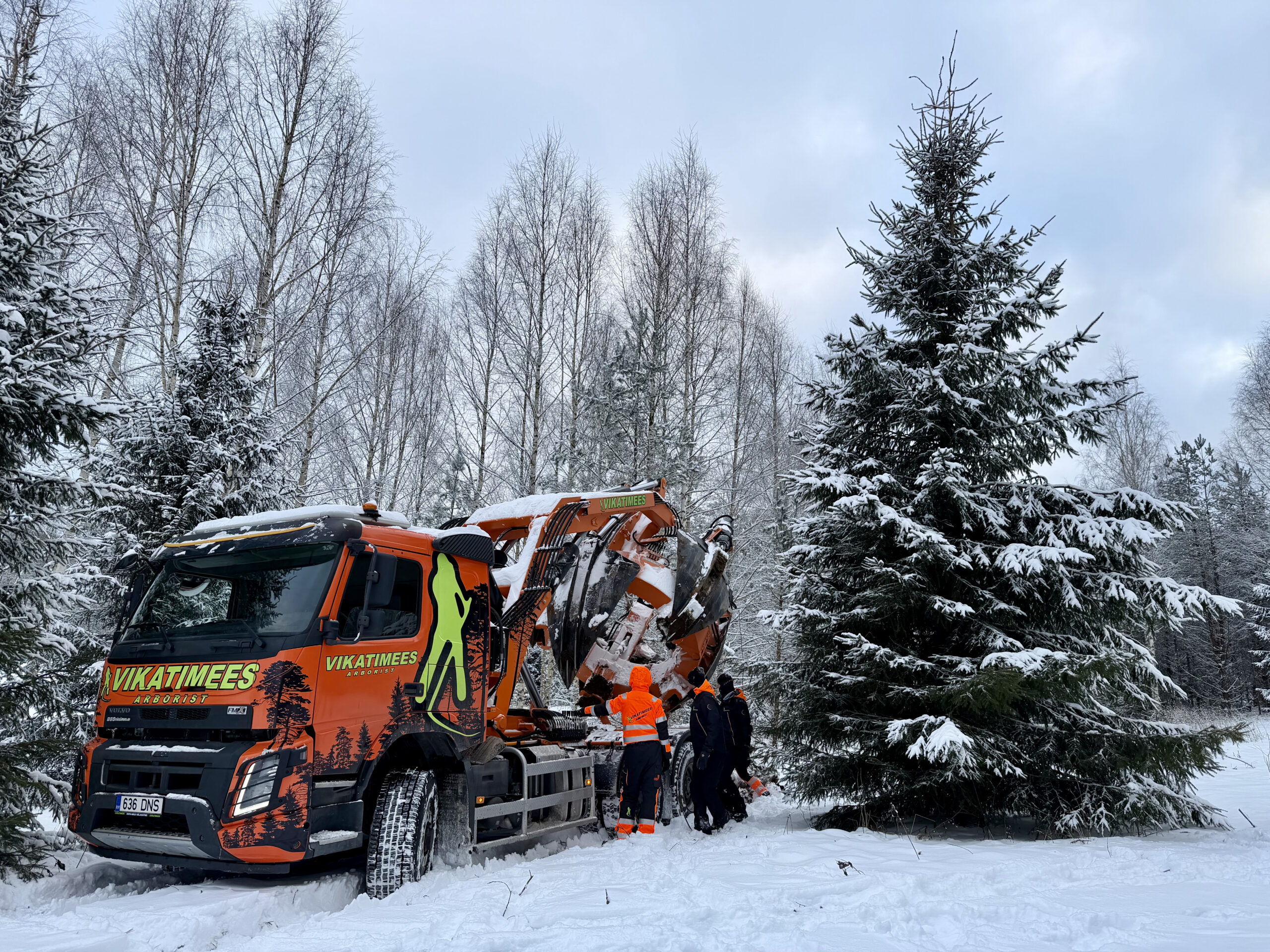 PUUDE ÜMBERISTUTAMINE