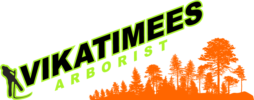 kodukale-metsaga-logo-meesuurem