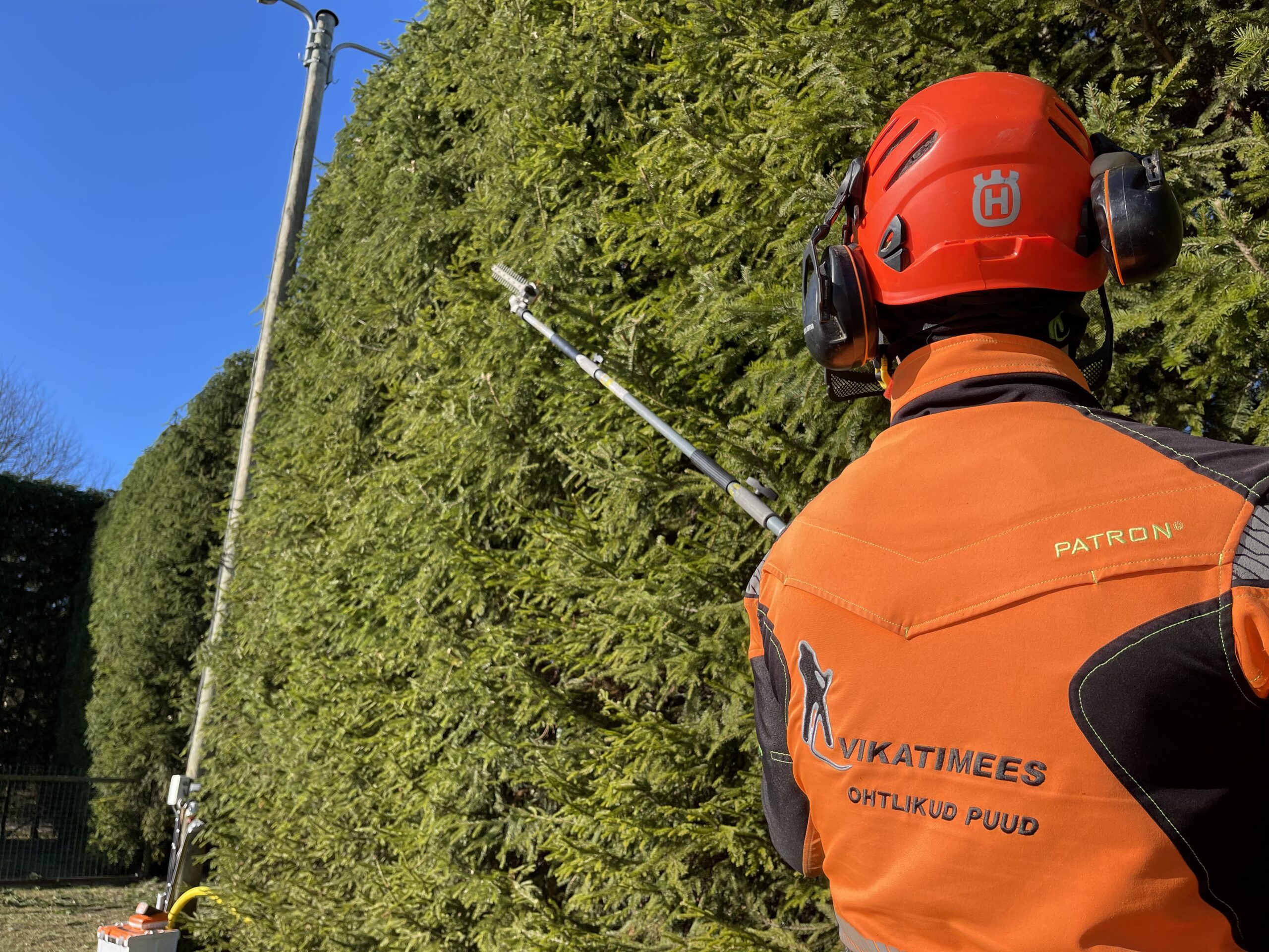 Hekkide hoolduslõikus