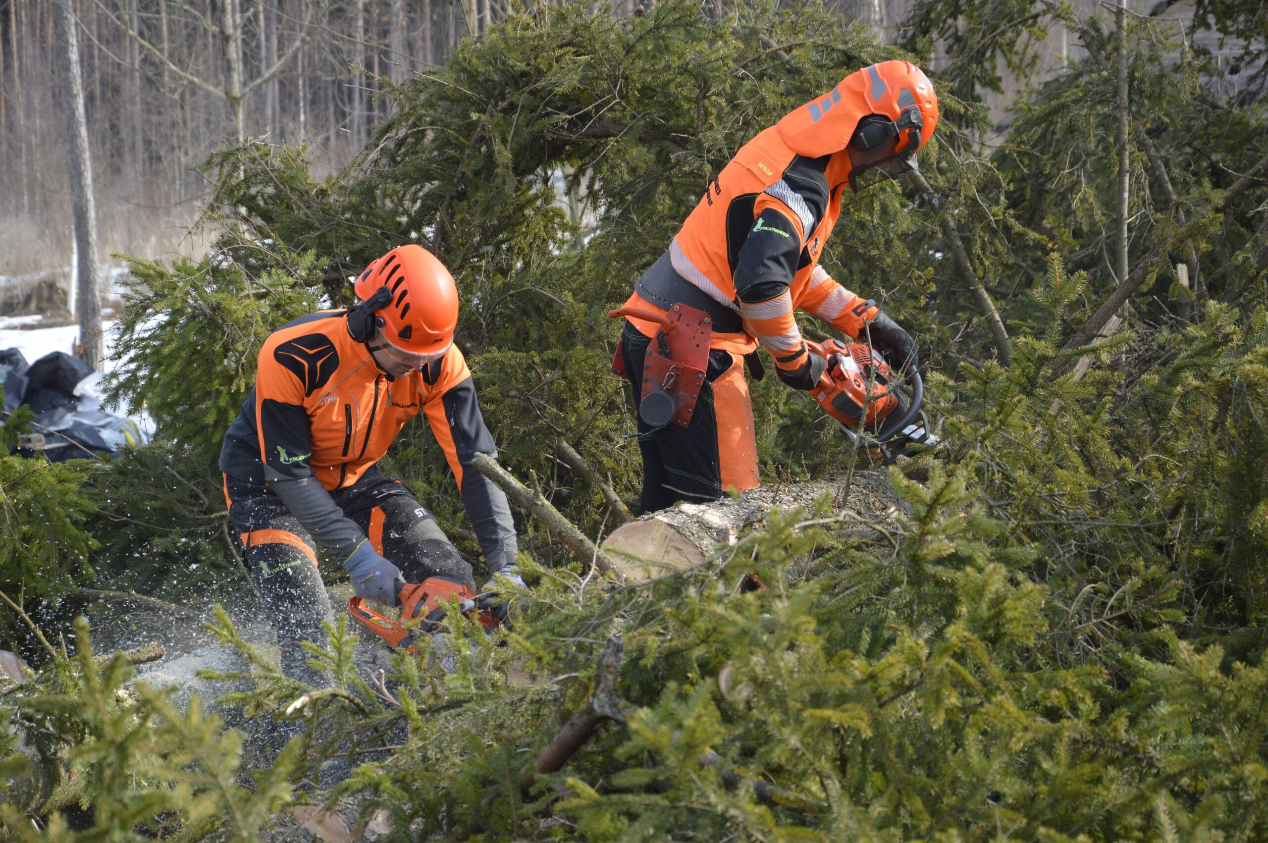 Ohtlike puude langetamine