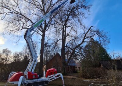 Roomikutega korvtõstuk Dino 220