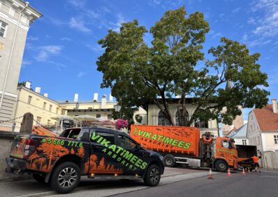 Ford Ranger ja Volvo FH Arborist Tartus ja Tartumaal